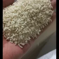 دوقد برنج لنجان
