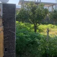 215متر زمین سند تک برگ واقع در تنکابن قلعه گردن