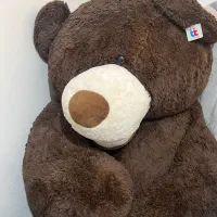 خرس بزرگ ولنتاین