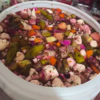 ترشی خانگی کاملا سالم و بهداشتی