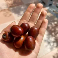 عناب درشت و تازه