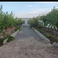 ۳۰۰متری ملکی با آب برق ۶۰متربناماریان