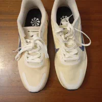 کفش طرح نایکی وین فلو