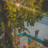 باریستا و کمک باریستا|استخدام خدمات فروشگاه و رستوران|نجفآباد, ریاضی|دیوار