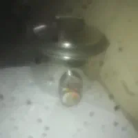 پلوپز پارس خزر تمیز قدیمی