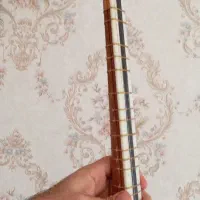 تار|سازهای سنتی|دورود, |دیوار