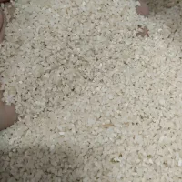 برنج نیم دانه هاشمی و لاشه هاشمی|خوردنی و آشامیدنی|رشت, جانبازان|دیوار