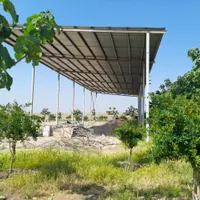 زمین شتر مرغ گاوداری گلخانه سوارکاری باغ پاکدشت|فروش دفتر صنعتی، کشاورزی، تجاری|پاکدشت, |دیوار