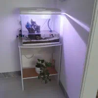 آکواریوم خم