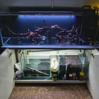 سامپ آکواریوم شیشه زخیم