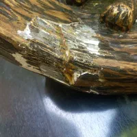 ساعت ایستاده|ساعت دیواری و تزئینی|بوکان, |دیوار