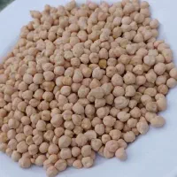 نخود محلی درجه 1