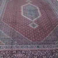 یک عدد فرش 12متری ریز ماهی کردستان