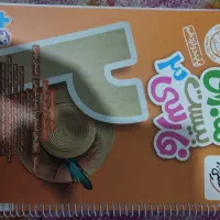 ماجرای بیست فارسی و فرمول بیست دینی