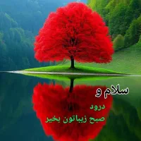 جذب سرویس مدارس