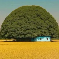آپارتمان ۷۰ متری دو خواب