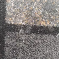 پالاز موکت|موکت|تاکستان, |دیوار