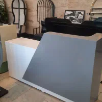 رنگ کار ماهر