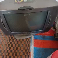 تلویزیون|تلویزیون و پروژکتور|مرودشت, کوشک|دیوار