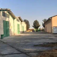 فروش کارخانه خشک کن سبزیجات جاده شهریار- رباط کریم|فروش دفتر صنعتی، کشاورزی، تجاری|رباط‌کریم, انجم آباد|دیوار