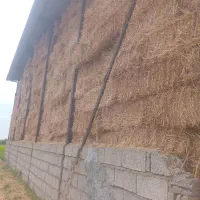 کاه گندم عدل زیر سایبان
