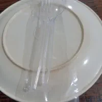 پد قاشق وچنگال