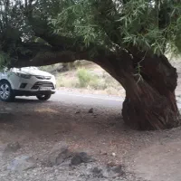 جک شاسی سفید