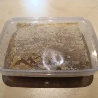 عسل|خوردنی و آشامیدنی|رشت, انصاری|دیوار