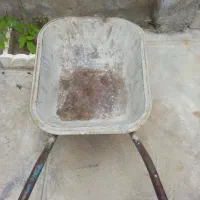 فرقون سالم در حد نو
