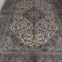 کرک کاشان کرم