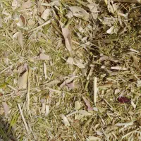 کاه نخود ۵۰ تن تمیز ریز