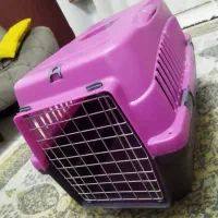 فروش وسایل گربه