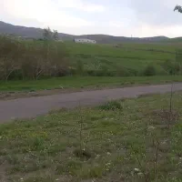 زمین باغی