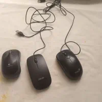 تعدادی موس برای فروش