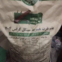 بذر ذرت ۷۰۴مغان