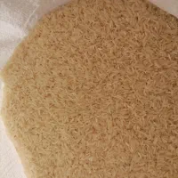 برنج فجر گلستان