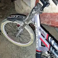 دوچرخه ۲۰ فقط تدمزندارد