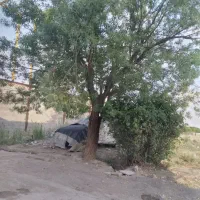 فروش-خانه