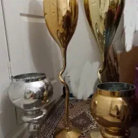 باکس گل کاکتوس طبیعی و گلدان گل|گل و گیاه طبیعی|تهران, شهرک دریا|دیوار