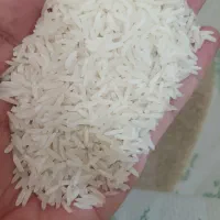 برنج سرلاشه دمسیاه