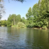 اجاره ویلا لب آب استخردارجنگلی