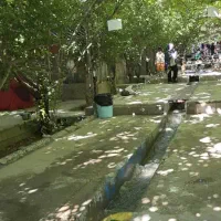تور یک روز سپیدان مختص بانوان چهارشنبه عید مبعث|تور و چارتر|شیراز, نصر|دیوار