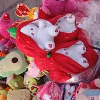 تولیدی خرگوش سوپرایزی