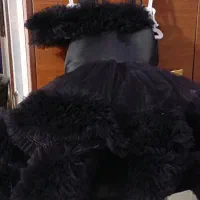 لباس مجلسی|لباس|شاهین‌شهر, فردوسی|دیوار