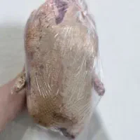 فروش اردک پاک شده