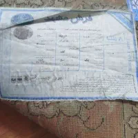 فرش ۶ متری ۵۰۰ شانه|فرش|رشت, دیلمان|دیوار