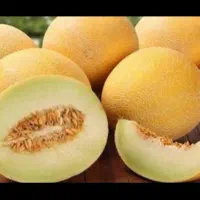 ملون صادراتی