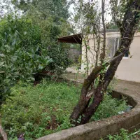 اجاره ویلا در روستای خرارود سیاهکل|اجارهٔ خانه و ویلا|سیاهکل, |دیوار