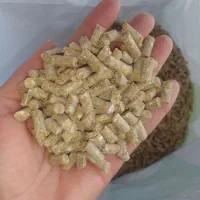 خوراک دام