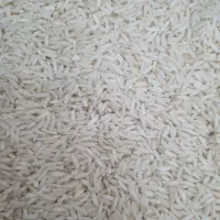 برنج هاشمی سورتینگ|خوردنی و آشامیدنی|رشت, استقامت ۱|دیوار